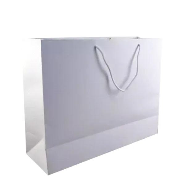 Full view, traditional paper bag