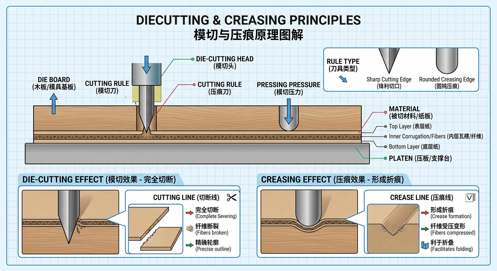 Technical diagram of die-cutting and creasing principles — sharp blades for complete cuts and rounded blades for forming crease lines, with detail of the effect on the material fibers