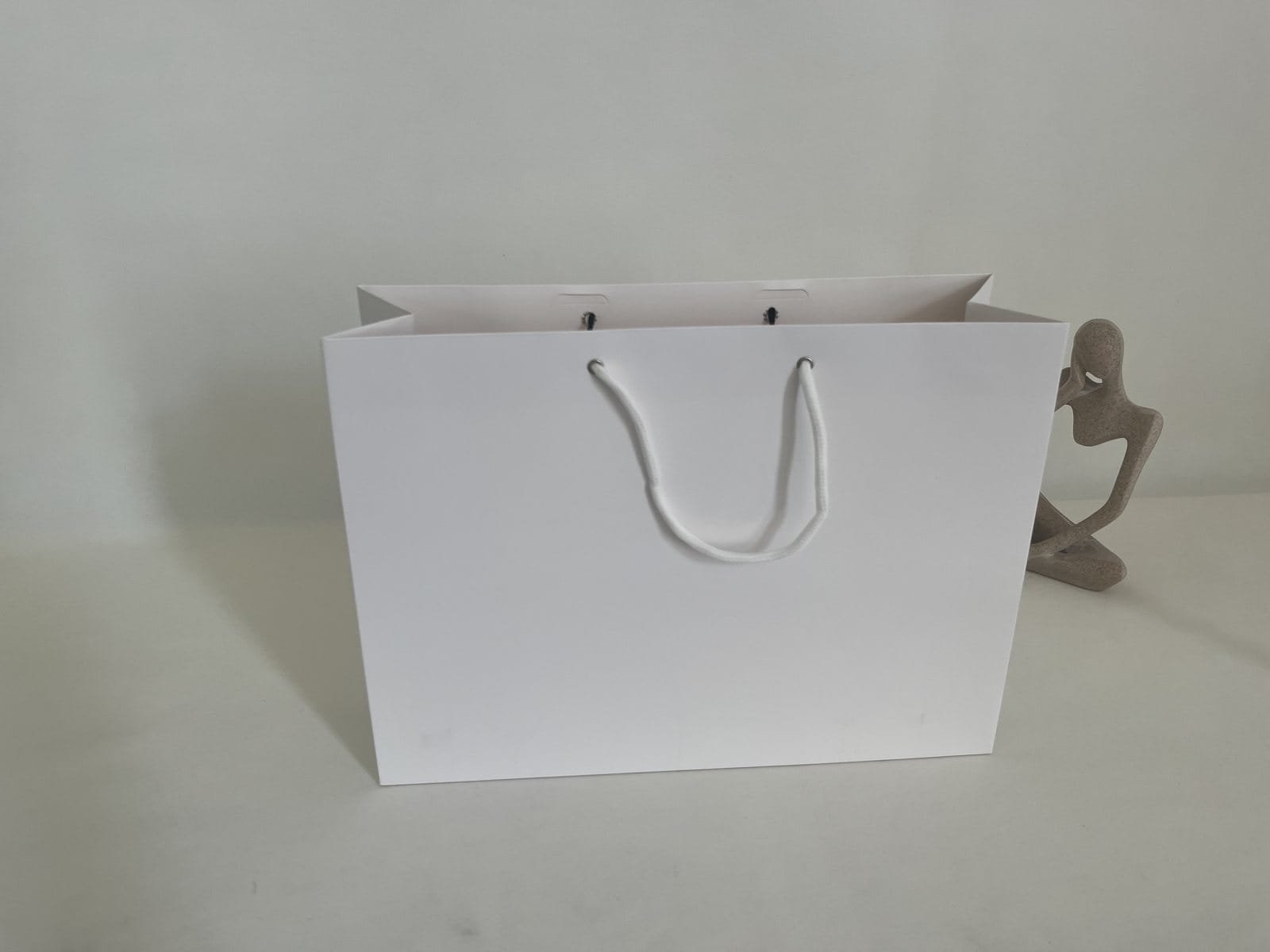 Plain white paper bag sample with round rope handles