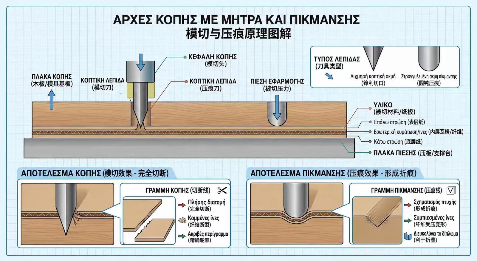 Τεχνικό διάγραμμα κοπής με μήτρα και πίκμανσης — αιχμηρές λεπίδες για πλήρη κοπή, στρογγυλεμένες λεπίδες για γραμμές δίπλωσης και λεπτομέρεια της επίδρασης στις ίνες του υλικού